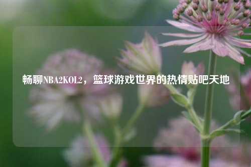 畅聊NBA2KOL2,篮球游戏世界的热情贴吧天地