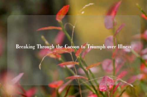 Breaking Through the Cocoon to Triumph over Illness