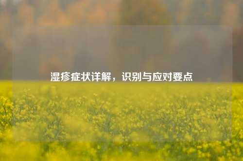 湿疹症状详解,识别与应对要点