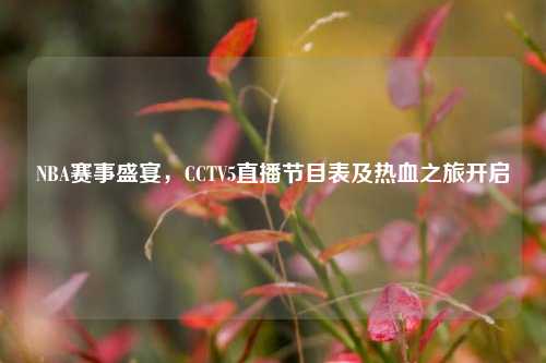 NBA赛事盛宴,CCTV5直播节目表及热血之旅开启