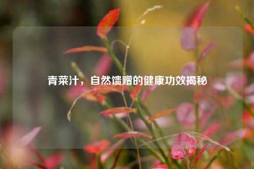 青菜汁,自然馈赠的健康功效揭秘