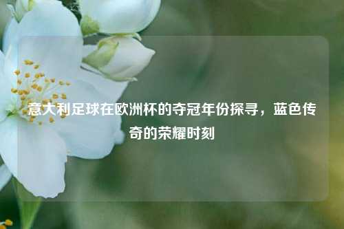 意大利足球在欧洲杯的夺冠年份探寻,蓝色传奇的荣耀时刻