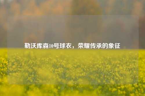 勒沃库森10号球衣,荣耀传承的象征