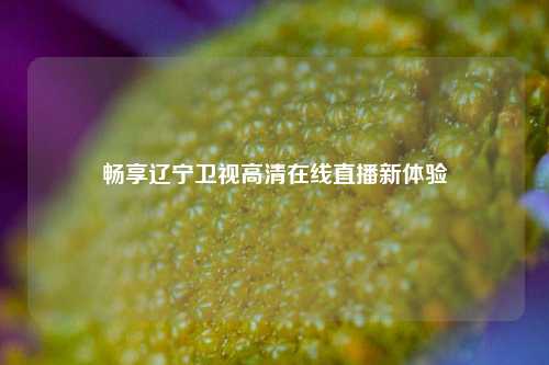 畅享辽宁卫视 直播新体验