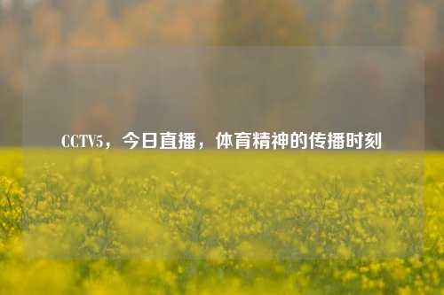 CCTV5,今日直播,体育精神的传播时刻