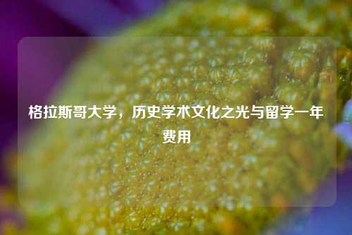 格拉斯哥大学,历史学术文化之光与留学一年费用