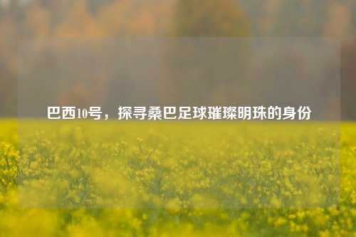 巴西10号,探寻桑巴足球璀璨明珠的身份