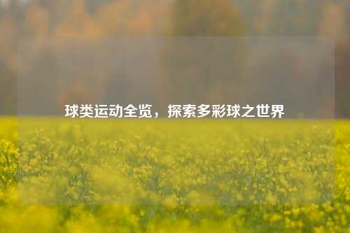 球类运动全览,探索多彩球之世界