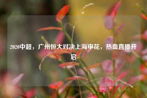 2020中超,广州恒大对决上海申花,热血直播开启
