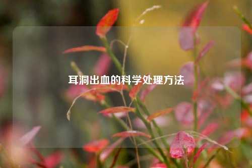 耳洞出血的科学处理