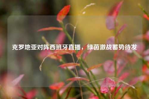 克罗地亚对阵西班牙直播,绿茵激战蓄势待发