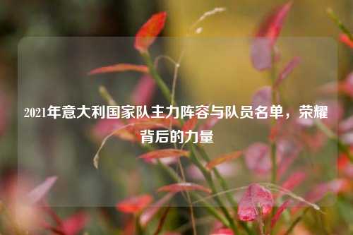2021年意大利国家队主力阵容与队员名单,荣耀背后的力量