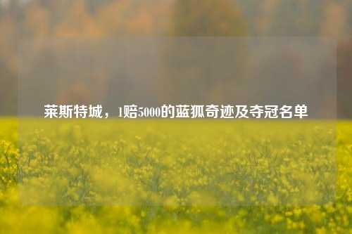 莱斯特城,1赔5000的蓝狐奇迹及夺冠名单
