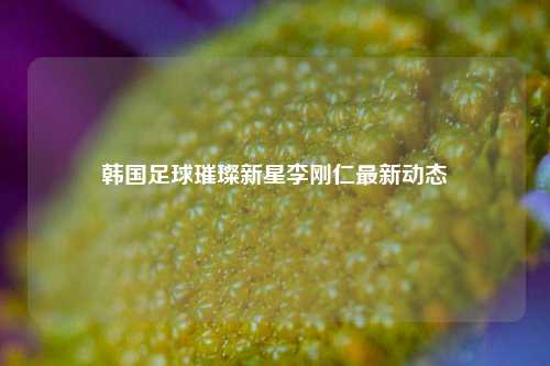 韩国足球璀璨新星李刚仁最新动态