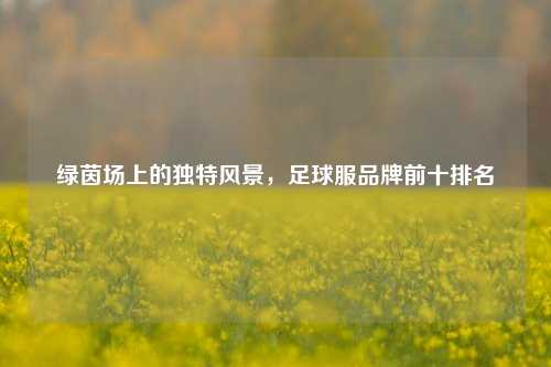 绿茵场上的独特风景,足球服品牌前十排名