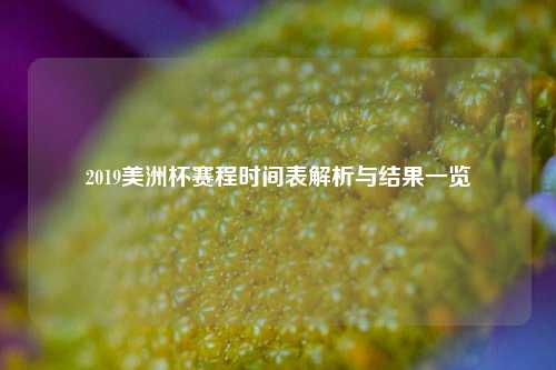 2019美洲杯赛程时间表解析与结果一览