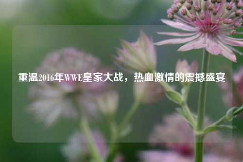 重温2016年WWE皇家大战,热血 的震撼盛宴