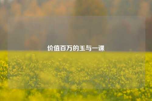 价值百万的玉与一课