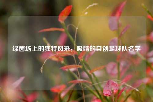 绿茵场上的独特风采,吸睛的自创足球队名字