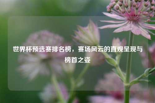 世界杯预选赛排名榜,赛场风云的直观呈现与榜首之姿