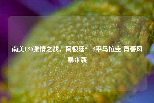南美U20 之战,阿根廷2 - 2平乌拉圭 青春风暴来袭