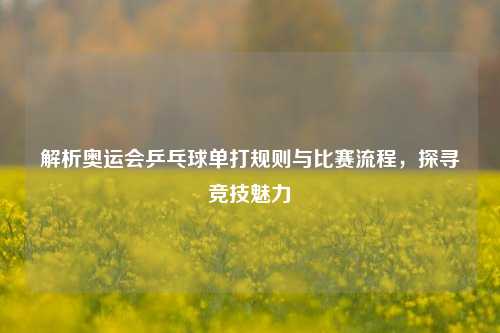 解析奥运会乒乓球单打规则与比赛流程,探寻竞技魅力