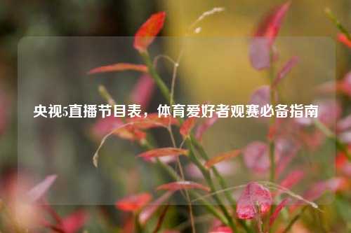 央视5直播节目表,体育爱好者观赛必备指南