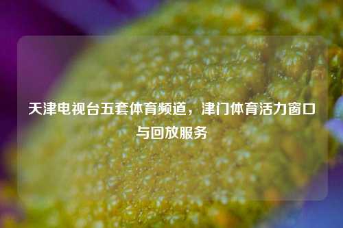 天津电视台五套体育频道,津门体育活力窗口与回放服务