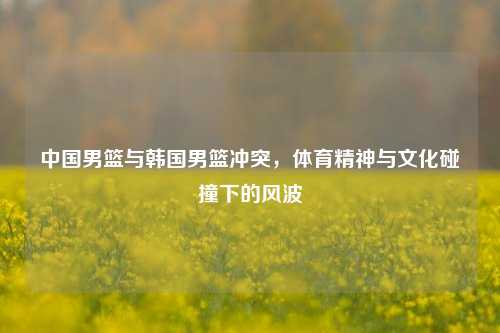 中国男篮与韩国男篮冲突,体育精神与文化碰撞下的风波