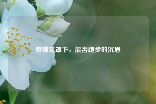 雾霾笼罩下,能否跑步的沉思