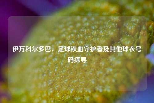 伊万科尔多巴,足球铁血守护者及其他球衣号码探寻