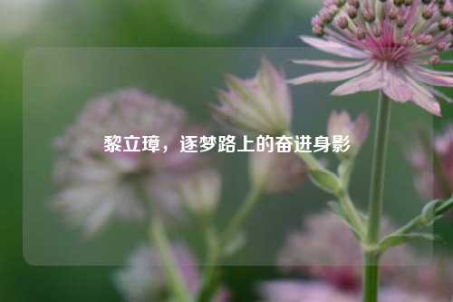 黎立璋,逐梦路上的奋进身影
