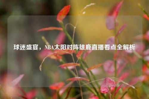 球迷盛宴,NBA太阳对阵雄鹿直播看点全解析