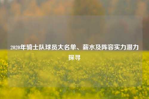 2020年骑士队球员大名单、薪水及阵容实力潜力探寻