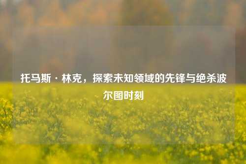 托马斯·林克,探索未知领域的先锋与绝杀波尔图时刻