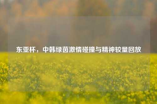 东亚杯,中韩绿茵 碰撞与精神较量回放