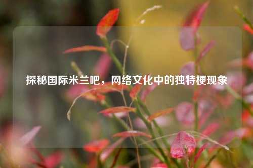 探秘国际米兰吧, 文化中的独特梗现象