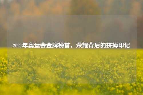 2021年奥运会金牌榜首,荣耀背后的拼搏印记