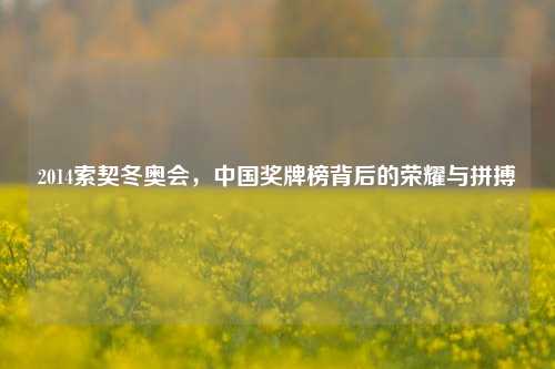 2014索契冬奥会,中国奖牌榜背后的荣耀与拼搏