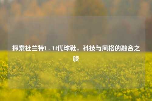 探索杜兰特1 - 14代球鞋,科技与风格的融合之旅