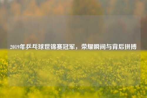 2019年乒乓球世锦赛冠军,荣耀瞬间与背后拼搏