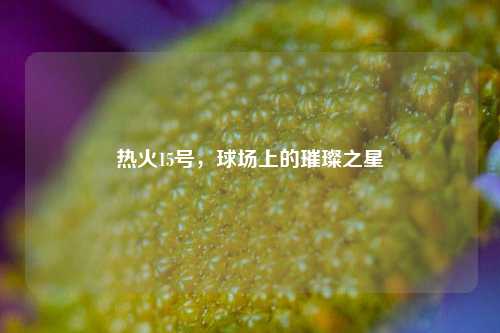 热火15号,球场上的璀璨之星