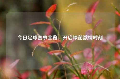 今日足球赛事全览,开启绿茵 时刻