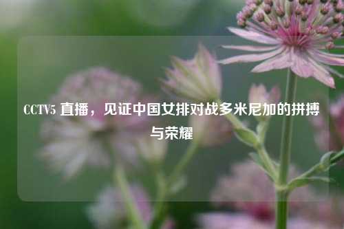 CCTV5 直播,见证中国女排对战多米尼加的拼搏与荣耀