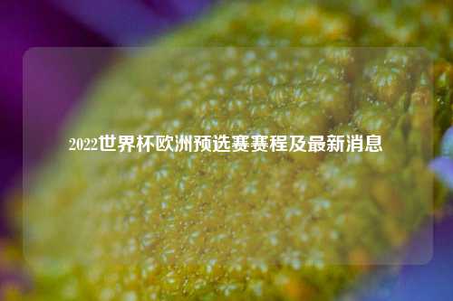 2022世界杯欧洲预选赛赛程及最新消息