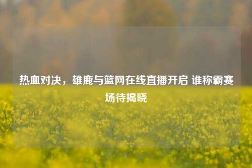 热血对决,雄鹿与篮网在线直播开启 谁称霸赛场待揭晓