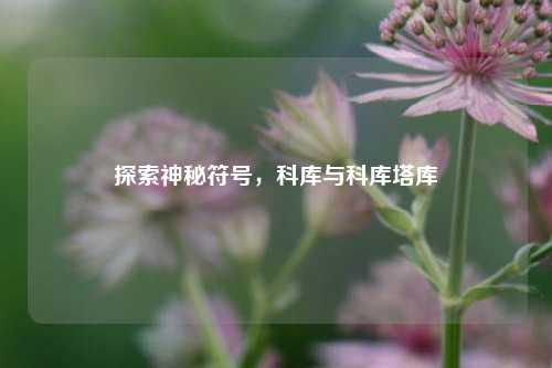 探索神秘符号,科库与科库塔库