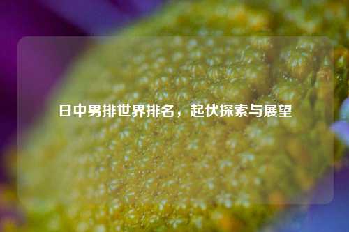 日中男排世界排名,起伏探索与展望