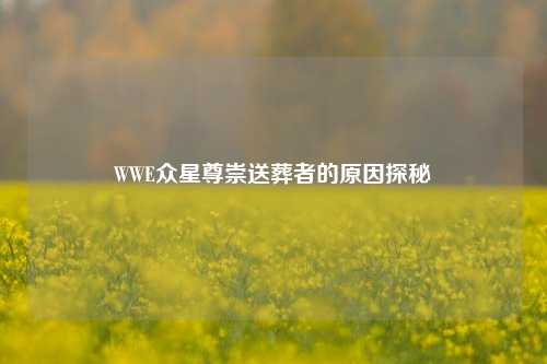 WWE众星尊崇送葬者的原因探秘