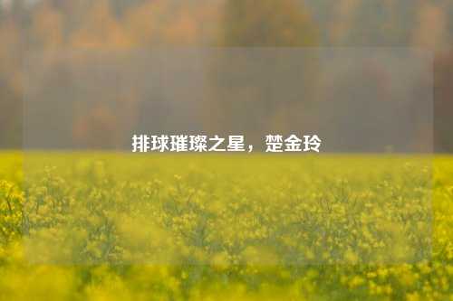 排球璀璨之星,楚金玲